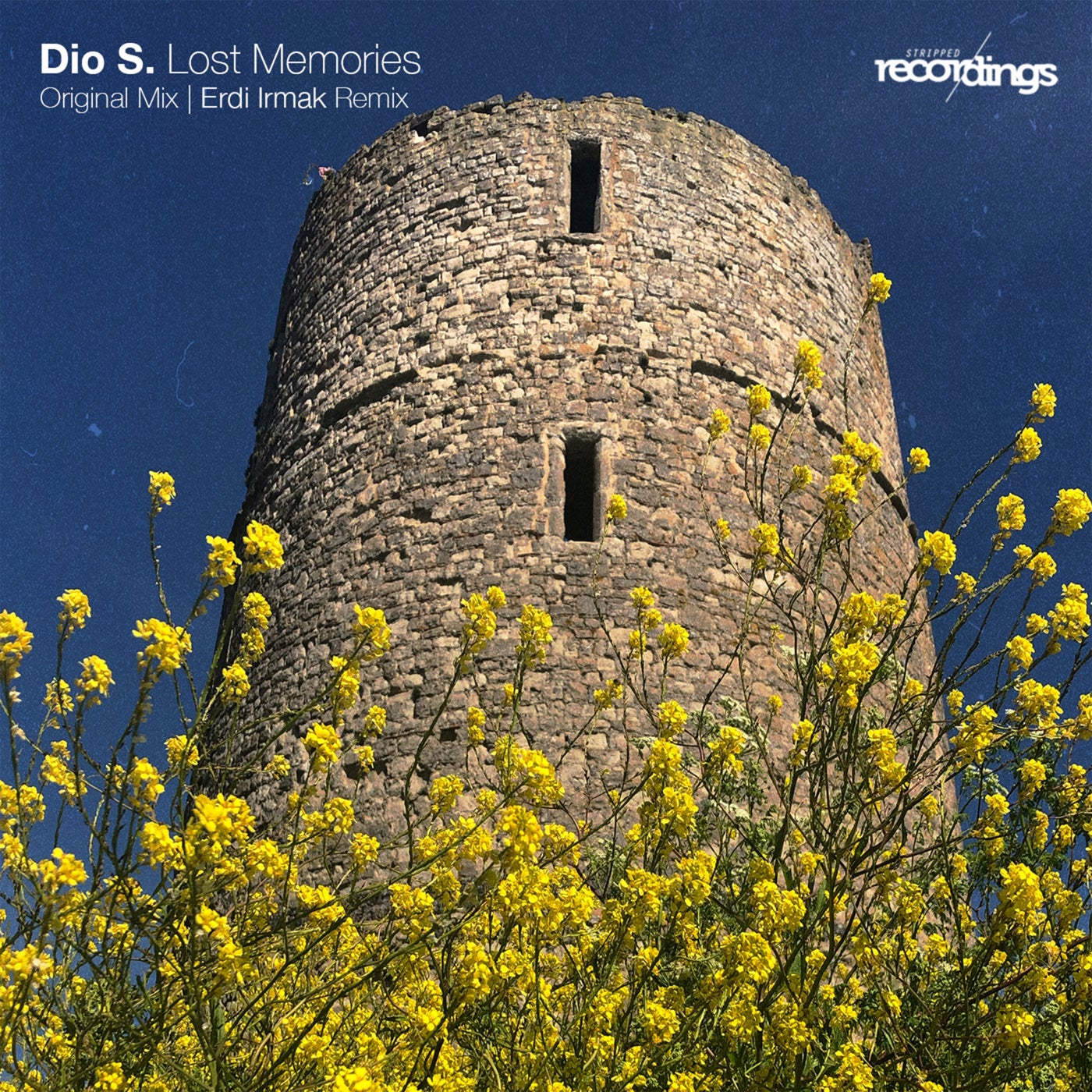 Dio S - Lost Memories [296SR]